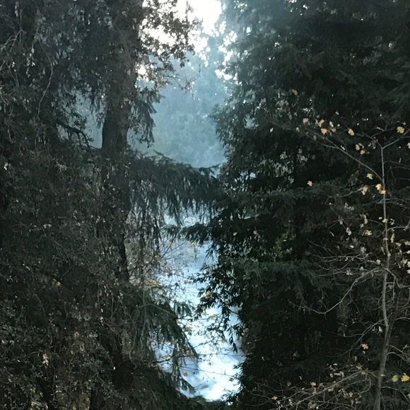 Meet your Posher, Ky - Picture 1 of 1